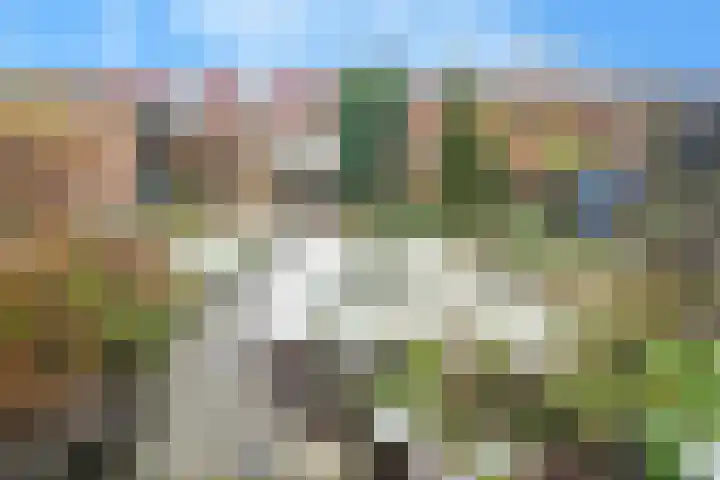 Nemelaersingel 49 Rotterdam thumbnail 8