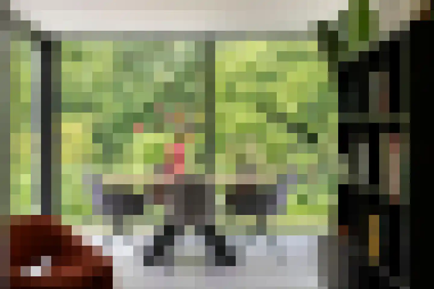 Nemelerbergweg 4 Zwolle thumbnail 15