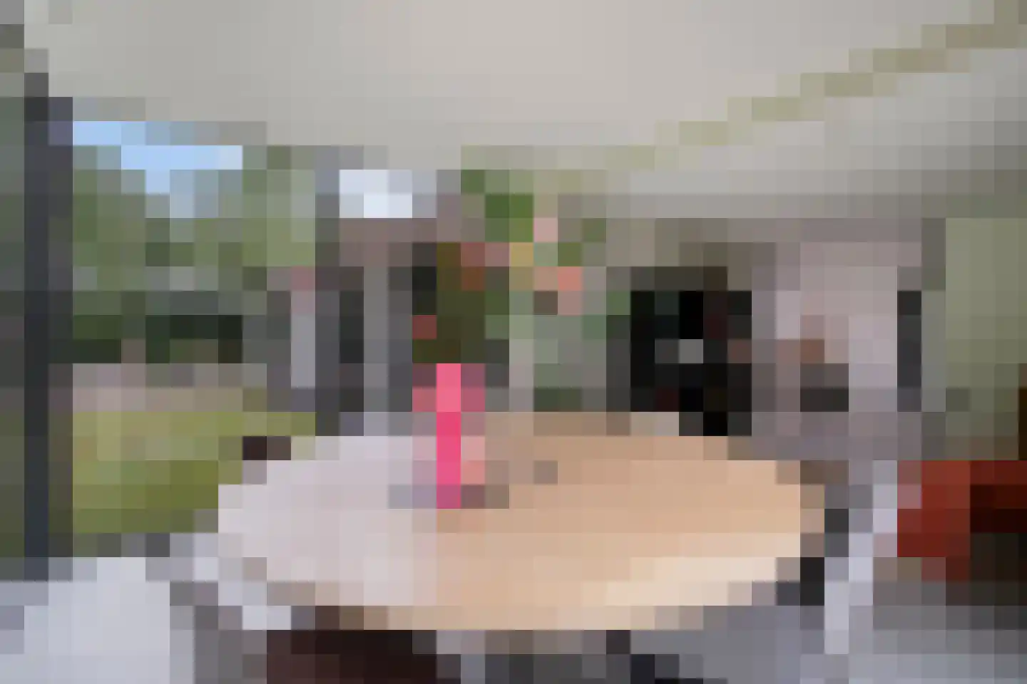 Nemelerbergweg 4 Zwolle thumbnail 16