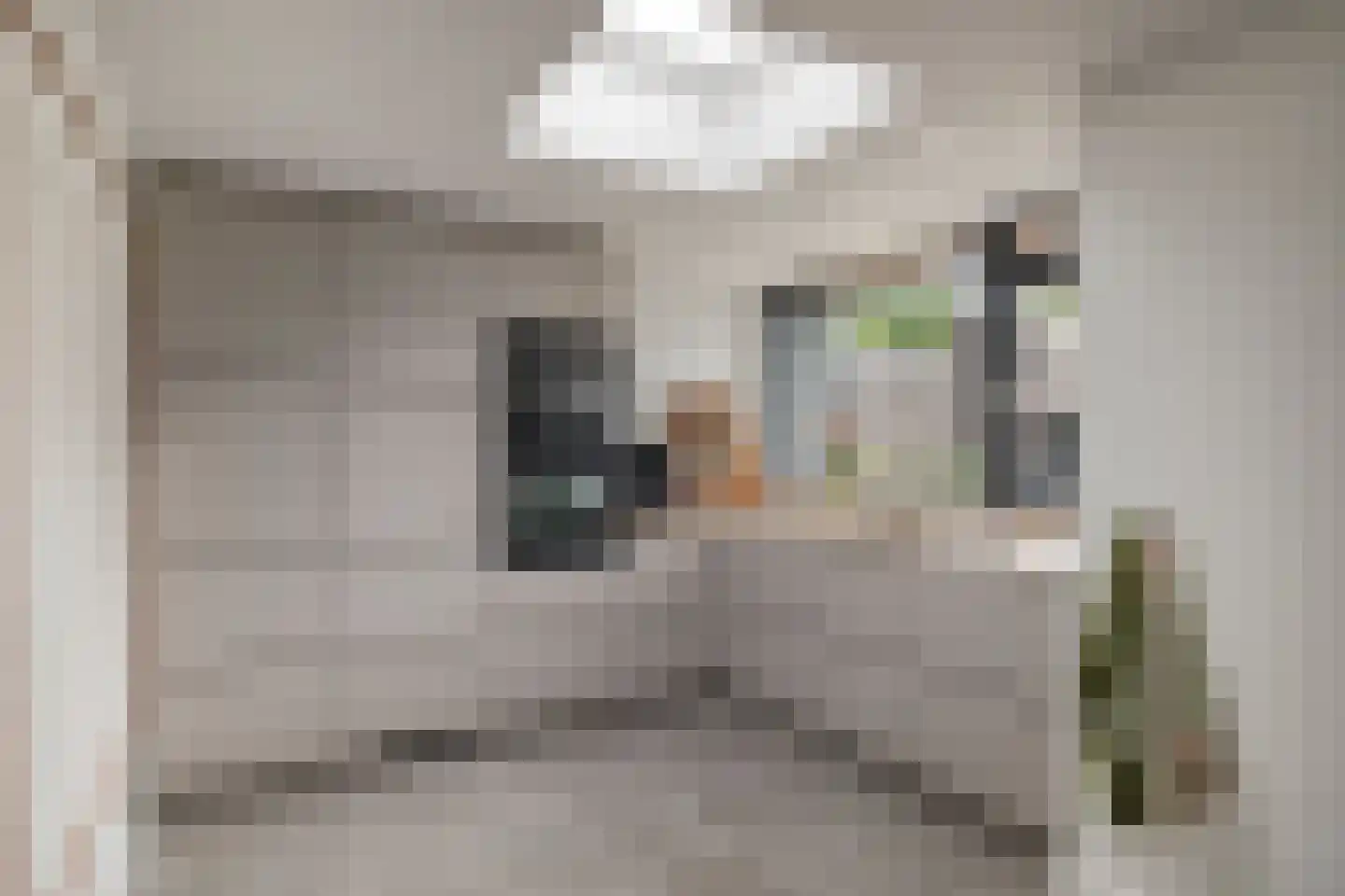 Nemelerbergweg 4 Zwolle thumbnail 17