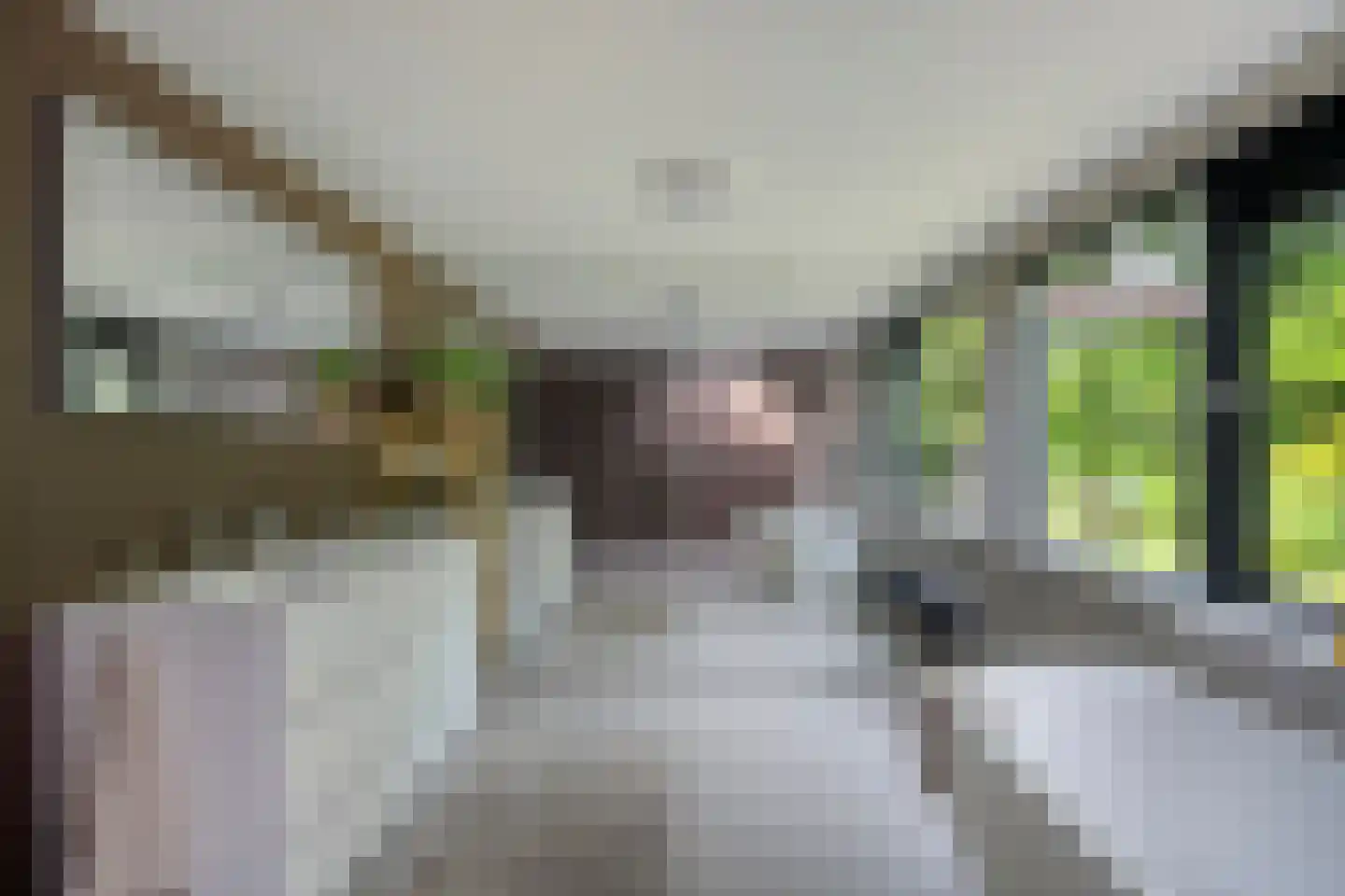 Nemelerbergweg 4 Zwolle thumbnail 33