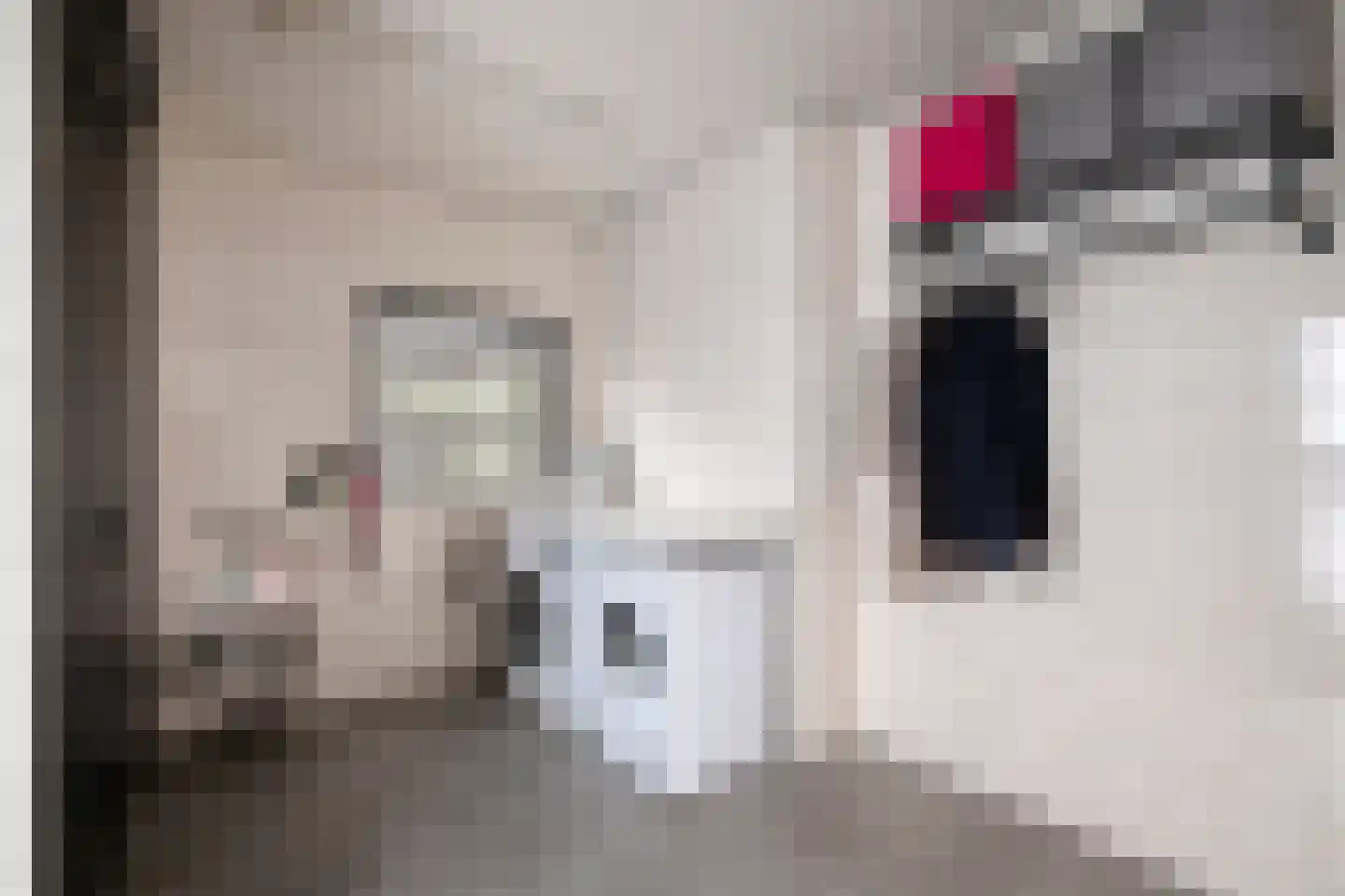 Nemelerbergweg 4 Zwolle thumbnail 39