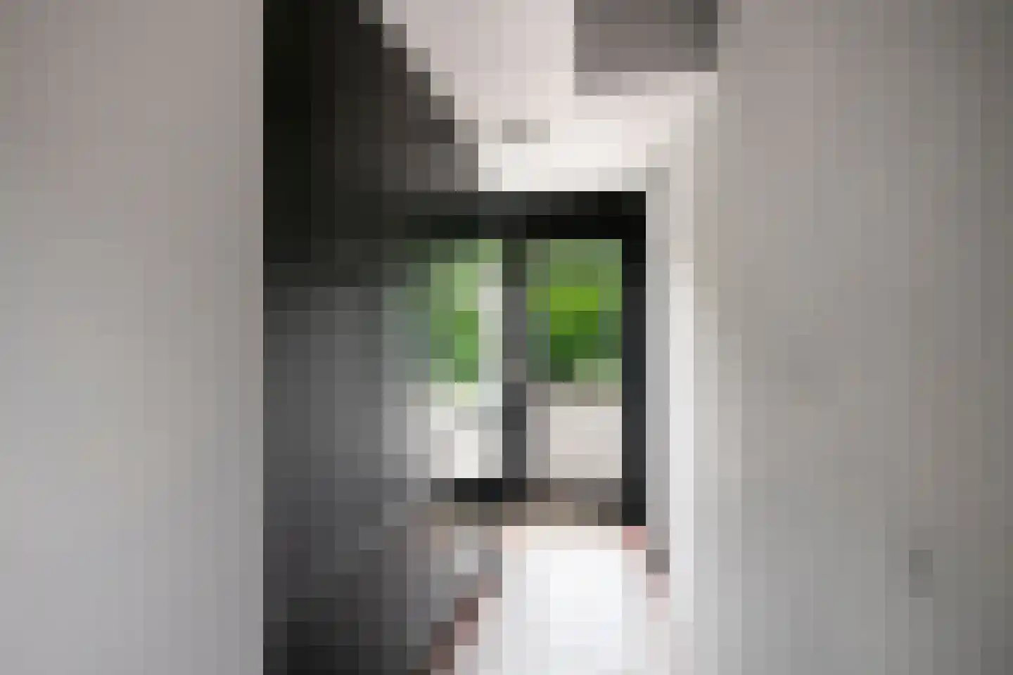 Nemelerbergweg 4 Zwolle thumbnail 41