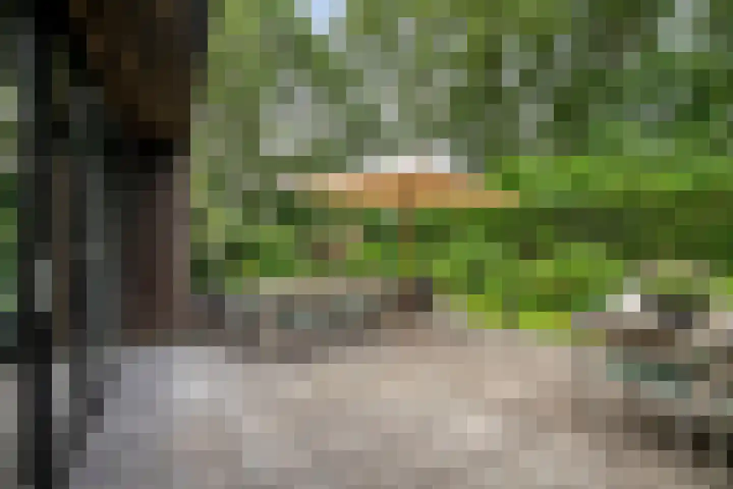 Nemelerbergweg 4 Zwolle thumbnail 47