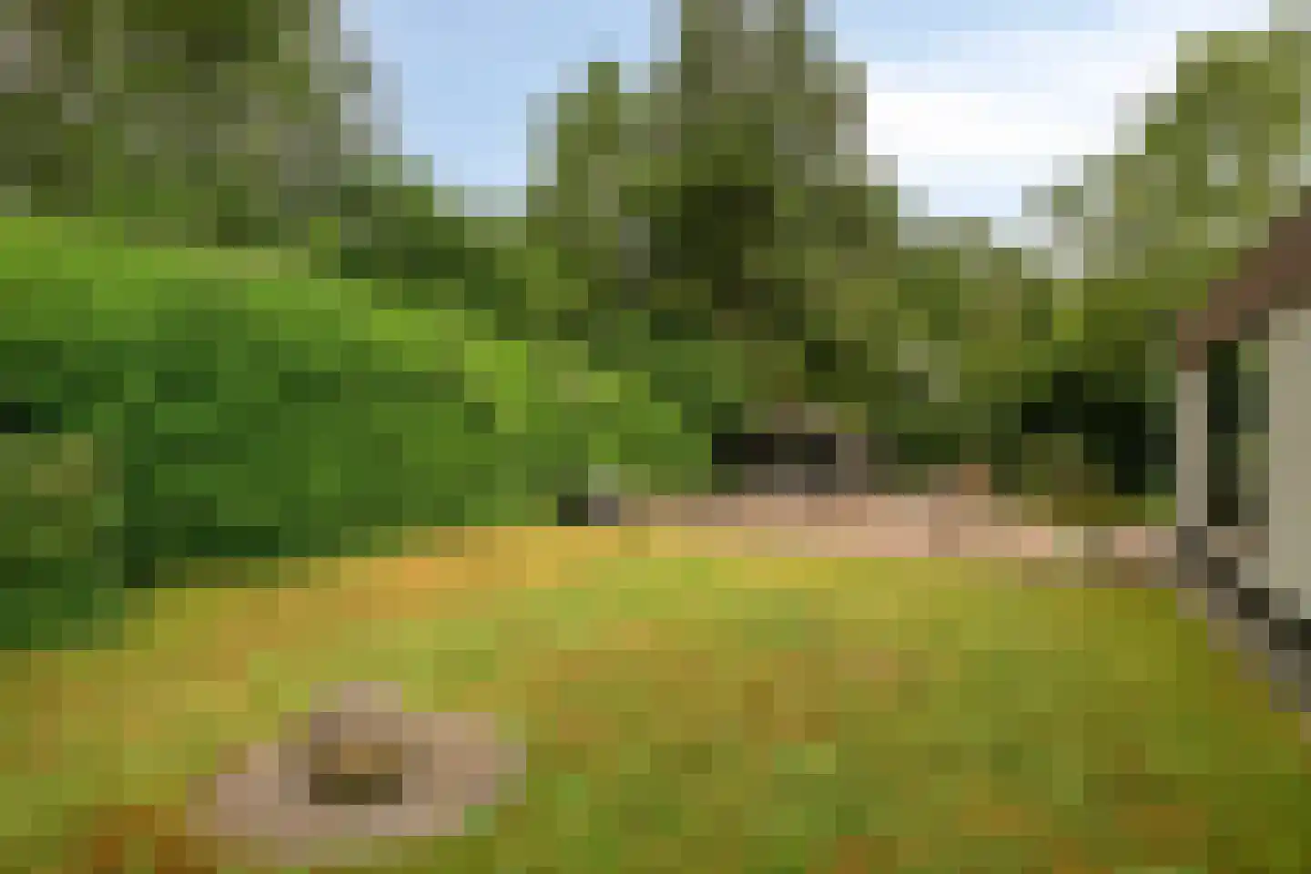 Nemelerbergweg 4 Zwolle thumbnail 48