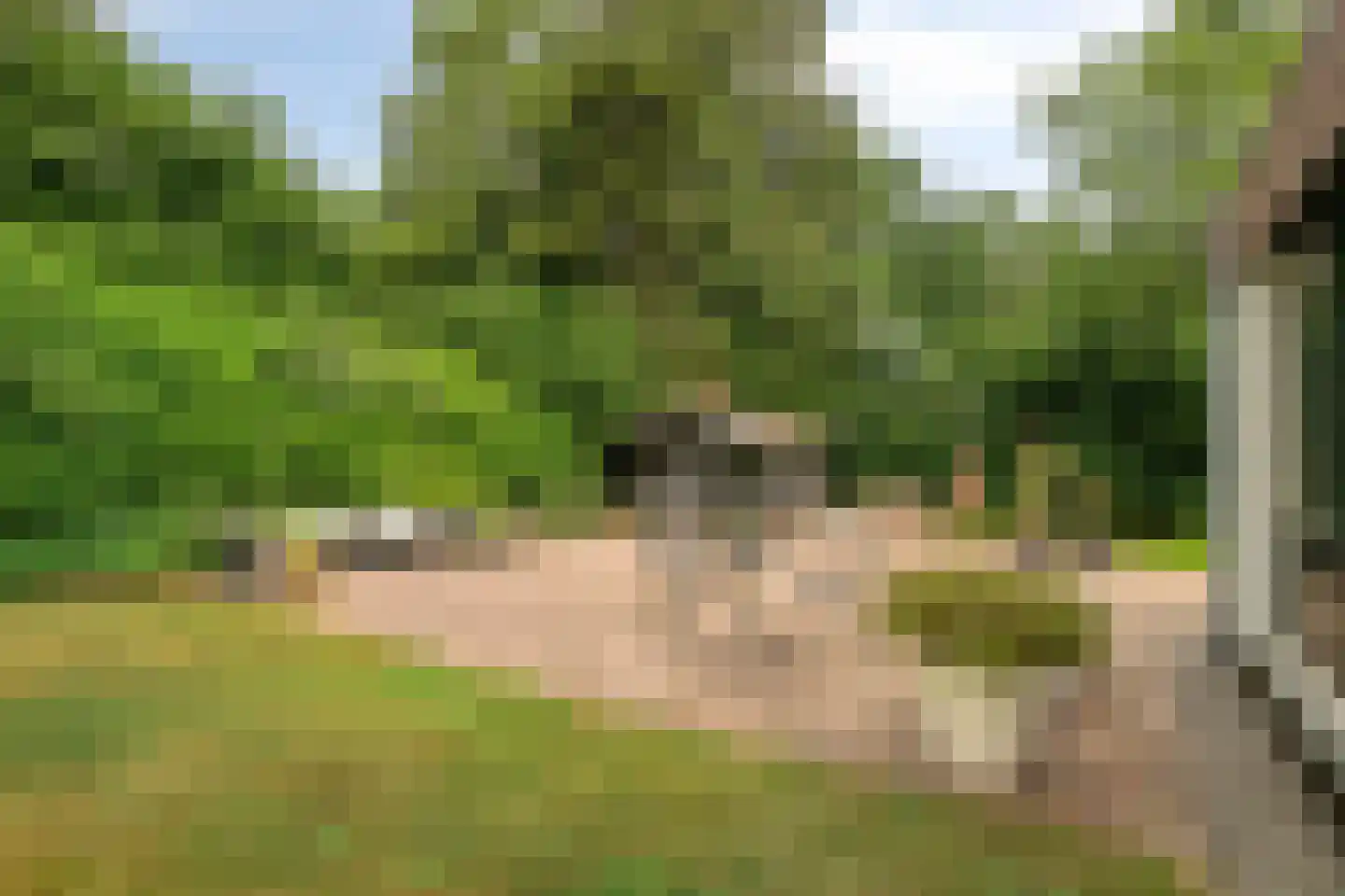 Nemelerbergweg 4 Zwolle thumbnail 49