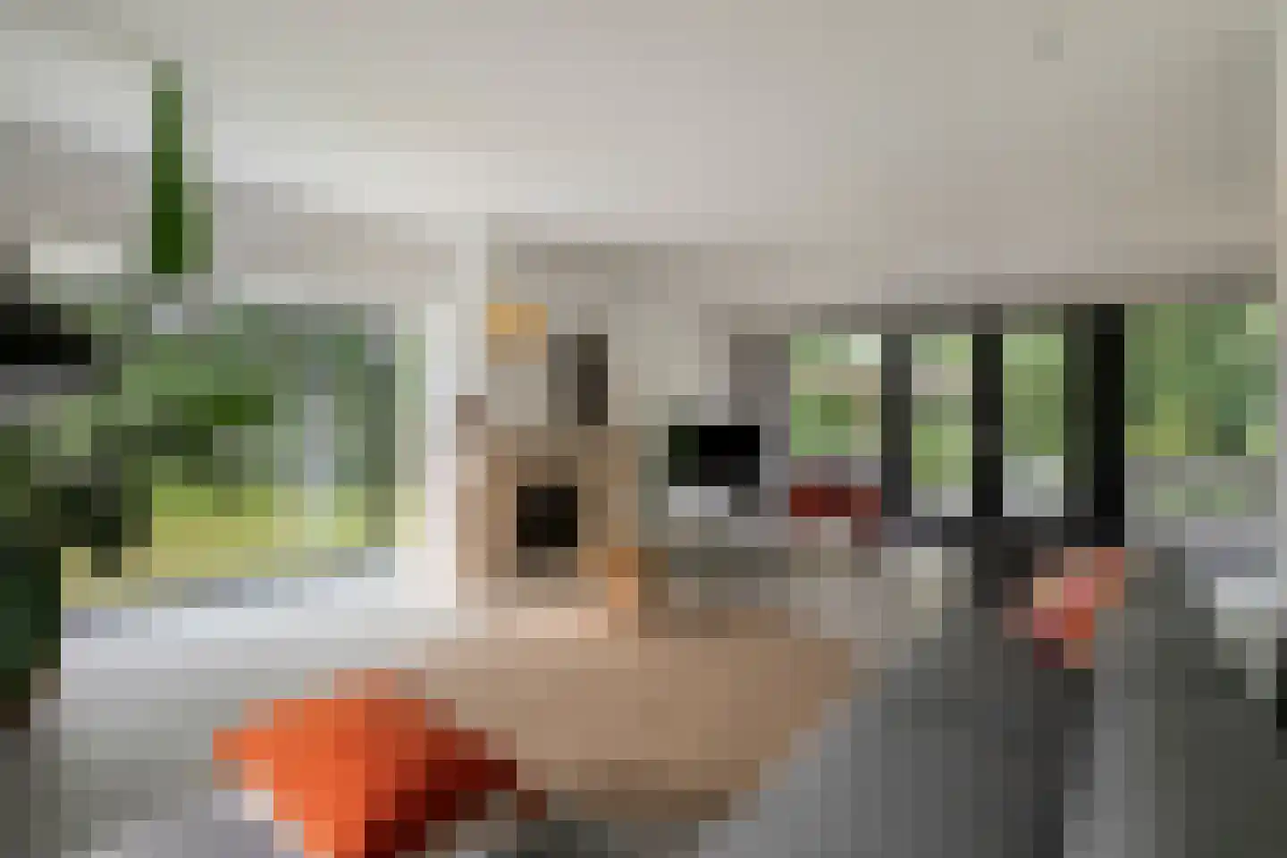 Nemelerbergweg 4 Zwolle thumbnail 6