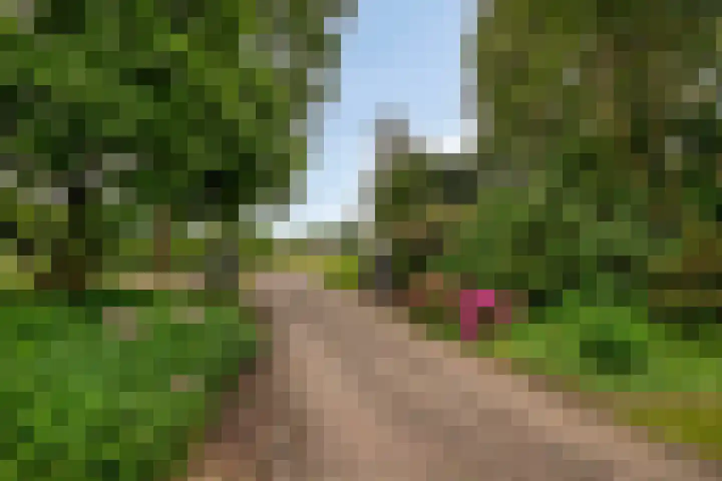 Nemelerbergweg 4 Zwolle thumbnail 62