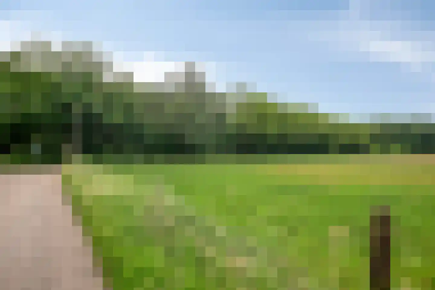Nemelerbergweg 4 Zwolle thumbnail 66