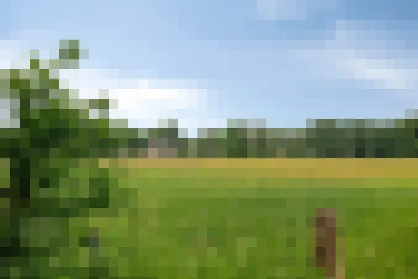Nemelerbergweg 4 Zwolle thumbnail 67