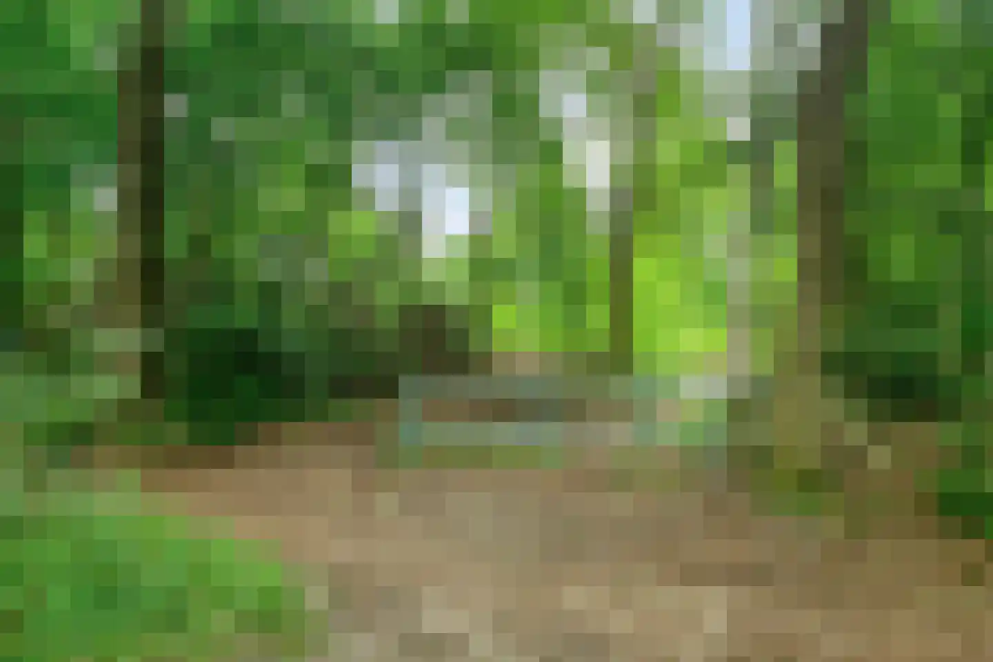 Nemelerbergweg 4 Zwolle thumbnail 68