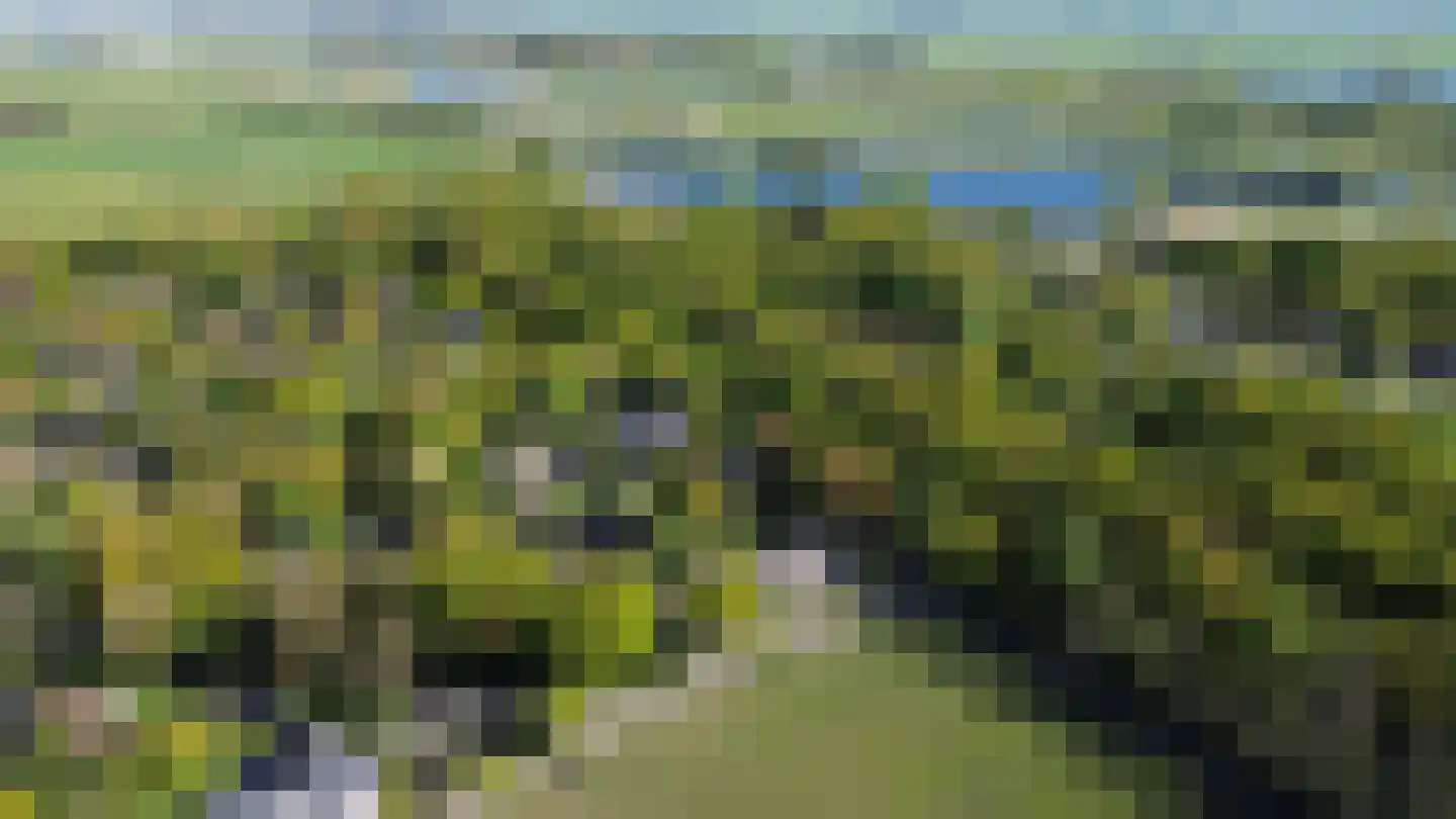 Nemelerbergweg 4 Zwolle thumbnail 69