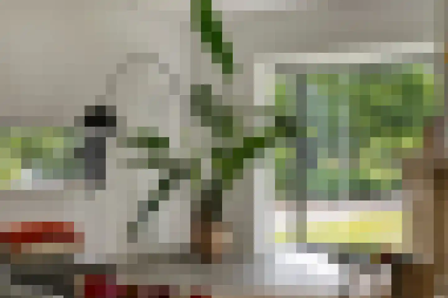 Nemelerbergweg 4 Zwolle thumbnail 7