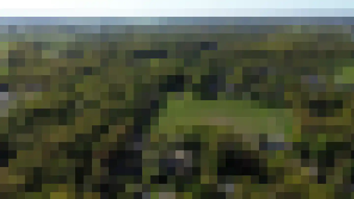 Nemelerbergweg 4 Zwolle thumbnail 70