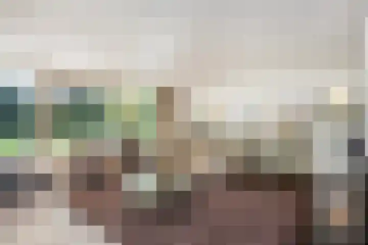 Nemelerbergweg 6 Zwolle thumbnail 11