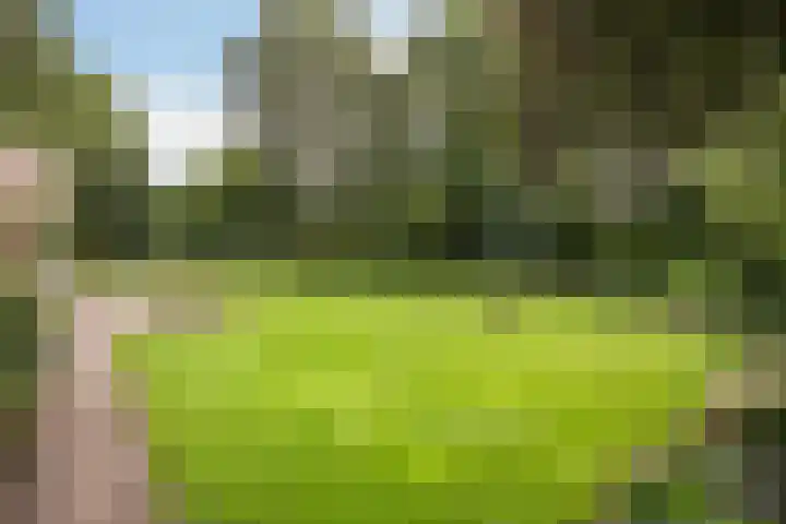 Nemelerbergweg 6 Zwolle thumbnail 16