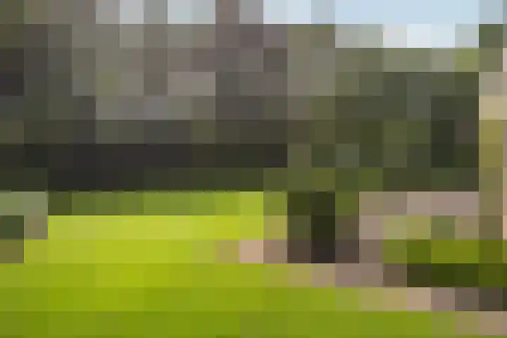 Nemelerbergweg 6 Zwolle thumbnail 18