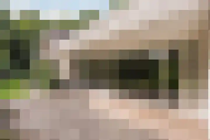 Nemelerbergweg 6 Zwolle thumbnail 19