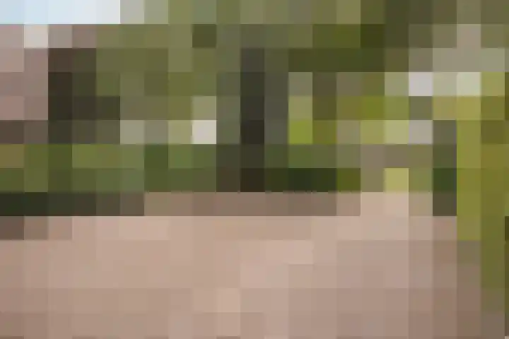 Nemelerbergweg 6 Zwolle thumbnail 20