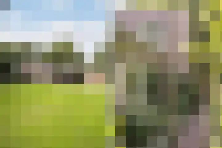 Nemelerbergweg 6 Zwolle thumbnail 21