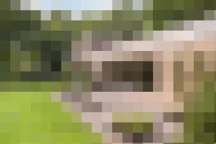 Nemelerbergweg 6 Zwolle thumbnail 22