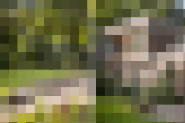 Nemelerbergweg 6 Zwolle thumbnail 23