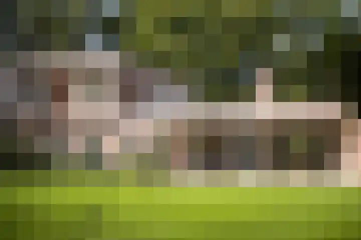 Nemelerbergweg 6 Zwolle thumbnail 24