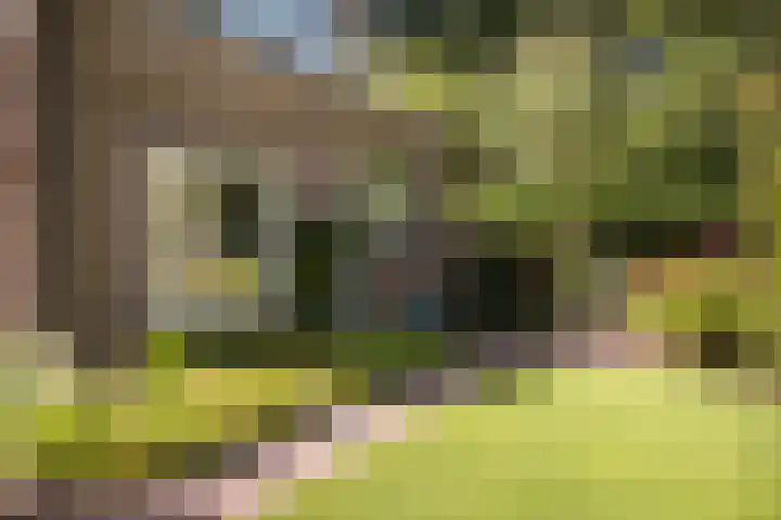 Nemelerbergweg 6 Zwolle thumbnail 26