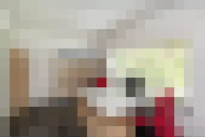 Nemelerbergweg 6 Zwolle thumbnail 35