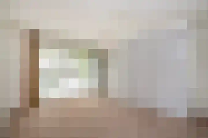 Nemelerbergweg 6 Zwolle thumbnail 44