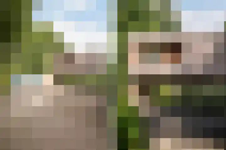 Nemelerbergweg 6 Zwolle thumbnail 48