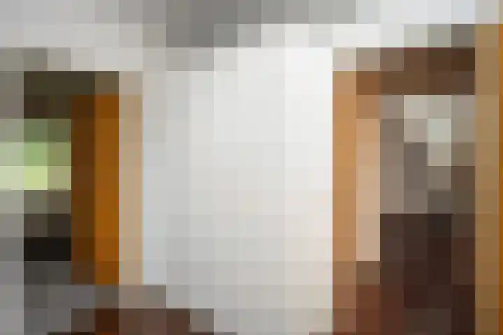 Nemelerbergweg 6 Zwolle thumbnail 6