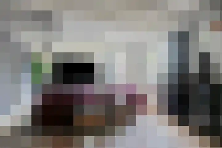 Nemerlaerhof 208 Helmond thumbnail 14