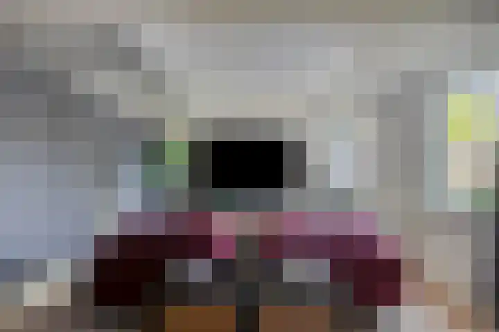 Nemerlaerhof 208 Helmond thumbnail 15