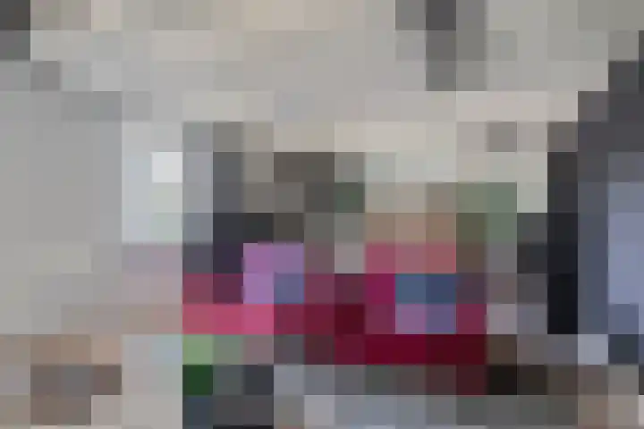 Nemerlaerhof 208 Helmond thumbnail 16