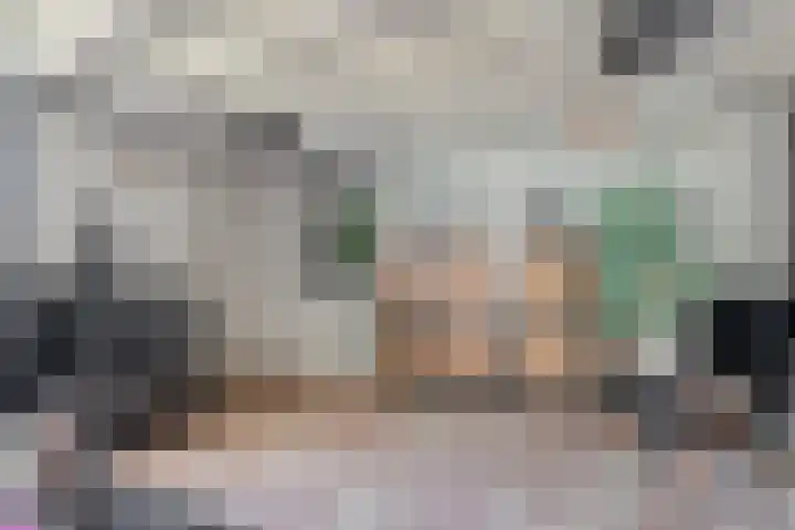 Nemerlaerhof 208 Helmond thumbnail 17