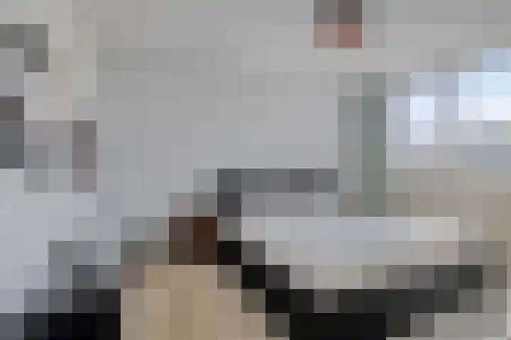 Nemerlaerhof 208 Helmond thumbnail 19