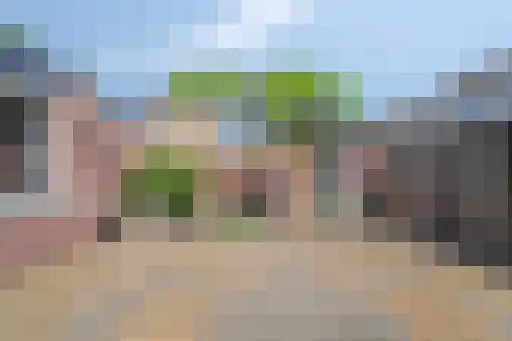 Nemerlaerhof 208 Helmond thumbnail 32