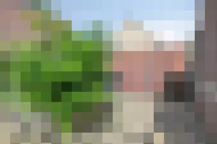 Nemerlaerhof 208 Helmond thumbnail 34