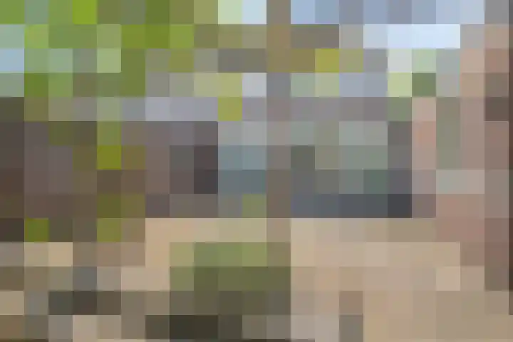 Nemerlaerhof 208 Helmond thumbnail 35