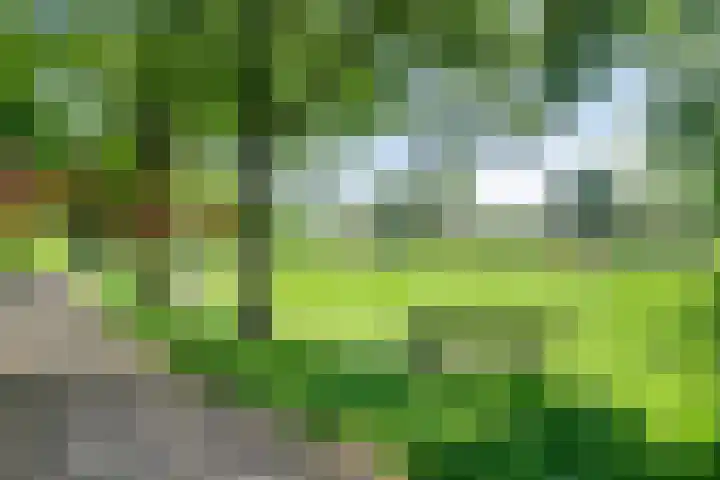 Nemerlaerhof 208 Helmond thumbnail 36