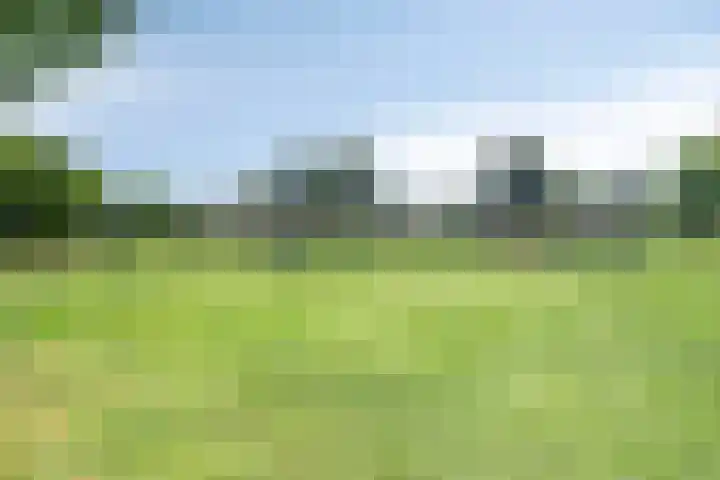 Nemerlaerhof 208 Helmond thumbnail 37