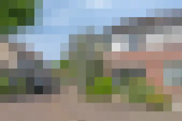 Nemerlaerhof 208 Helmond thumbnail 40