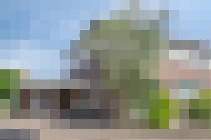 Nemerlaerhof 208 Helmond thumbnail 45