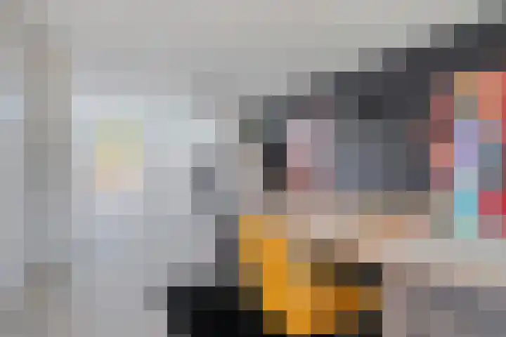 Nemerlaerhof 208 Helmond thumbnail 6