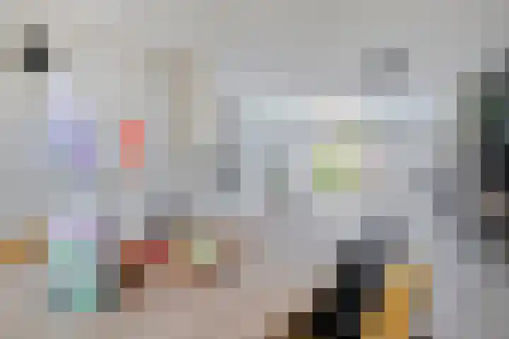 Nemerlaerhof 208 Helmond thumbnail 7