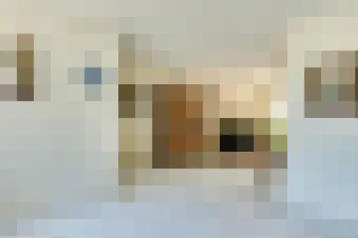 Nemerlaerhof 80 Helmond thumbnail 18
