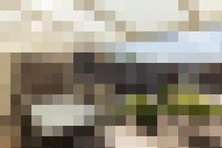 Nemerlaerhof 80 Helmond thumbnail 36