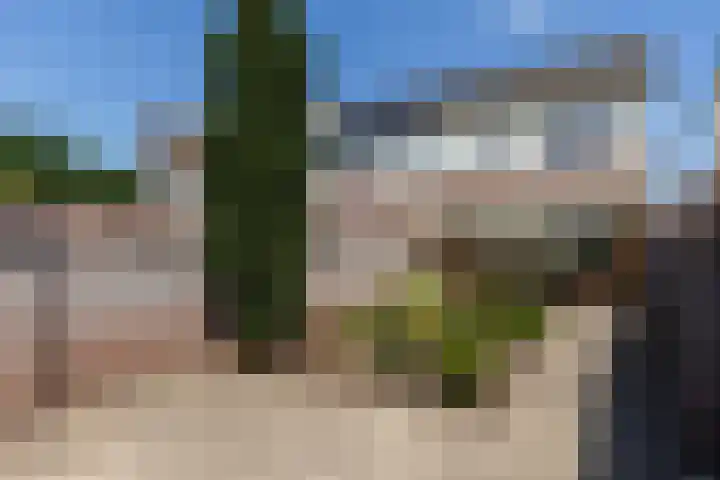 Nemerlaerhof 80 Helmond thumbnail 37