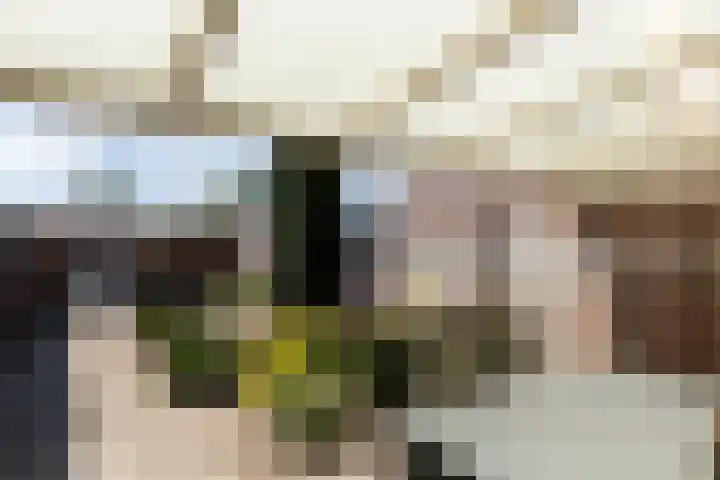 Nemerlaerhof 80 Helmond thumbnail 39